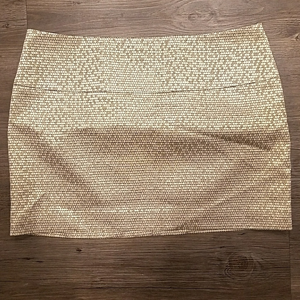 Express skirt